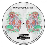 Nestor Arriaga - Wachufleiva 10 '2019
