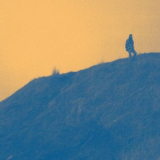 Dead Soft - Big Blue '2019