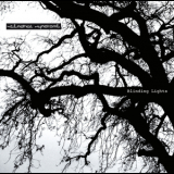 Stendhal Syndrome - Blinding Lights '2010