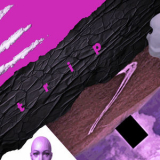 Northern - Trip '2025
