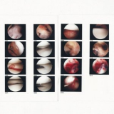 The Cradle - Laughing in My Sleep '2020
