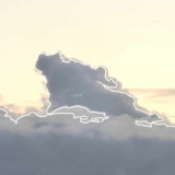 Roselia - surroundings. '2025