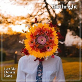 Birthright - Let Me Down Easy '2018