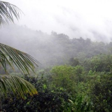 YUS - El Yunque '2018