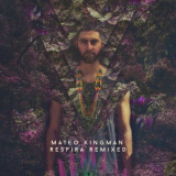 Mateo Kingman - Respira Remixed '2017