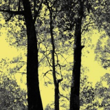 Primitive Motion - Breath Of Light Remains '2019