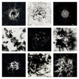 Harnes Kretzer - Black Noise '2018