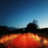 Wharfer - The Road Dissolved The View '2018
