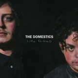 The Domestics - Little Darkness '2017