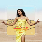 ABIR - HEAT '2020
