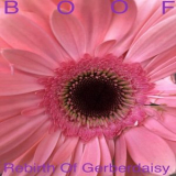 Boof - Rebirth Of Gerberdaisy '2020