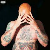 Avalanche - Ave '2025
