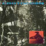 Crotocosm - Setting The Scene For An Island Battle '2019