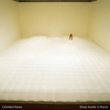 Celestial Bums - Sleep Inside a Horse '2020