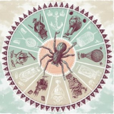 The Silent Years - Spider Season (10th Anniversary Edition) '2020