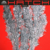 Hatch - Trees '2020