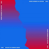 Dirk. - Cracks in Common Sense '2020