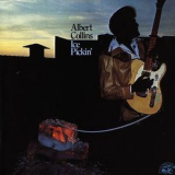 Albert Collins - Ice Pickin' '1978