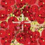 Proswell - Amaterasu '2020