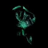 Stenny - Upsurge '2019