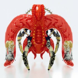 33emybw - Arthropods '2019