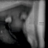 Visions - Temples '2019