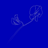 Essaie Pas - New Path (The Remixes) '2018