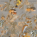 Dolphin Midwives - Liminal Garden '2019