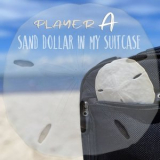Player A - Sand Dollar in My Suitcase '2020
