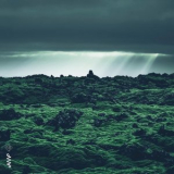 EYES AND MADNESS - A Dreamy Journey '2022