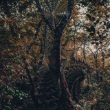 Clearlight - Thought Catcher '2022