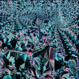 Clearlight - Interconnected '2022