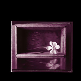Rob Crow - Hymns '2023