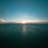 Kazuki Tomokawa - Dreaming in Quietude '2024