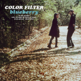 Color Filter - blueberry '2007