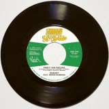 Shaggy - Fight This Feeling (feat. Beres Hammond) - Single '2013