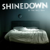 Shinedown - If You Only Knew '2009