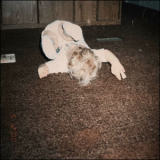 Ethel Cain - Carpet Bed EP '2019