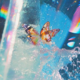 Daphni - Butterfly '2026