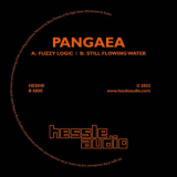 Pangaea - Fuzzy Logic / Still Flowing Water '2022