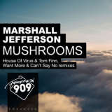 Marshall Jefferson - Mushrooms '2016