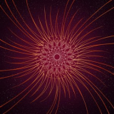 Echoes And Signals - Solar '2026