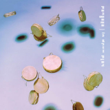 Pangaea - In Drum Play '2016