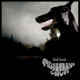 The Wisemans Circus - Blackhound '2013