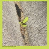Booker Stardrum - Close-up On The Outside '2026
