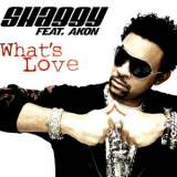 Shaggy - What's Love '2008