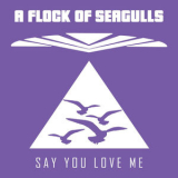 A Flock of Seagulls - Say You Love Me '2021