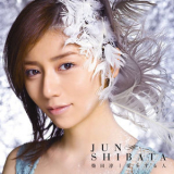 Jun Shibata - Ai o Suru Hito-Orochi's Theme '2008