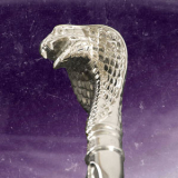 Shiner - Cobra '2024