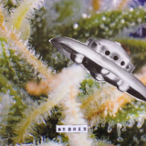 Shag - Hermit '2015